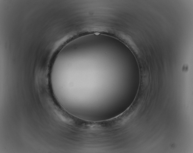 X0000093380395200710111500