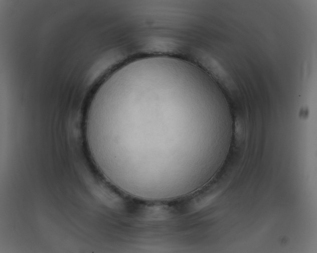 X0000093380396200710111500