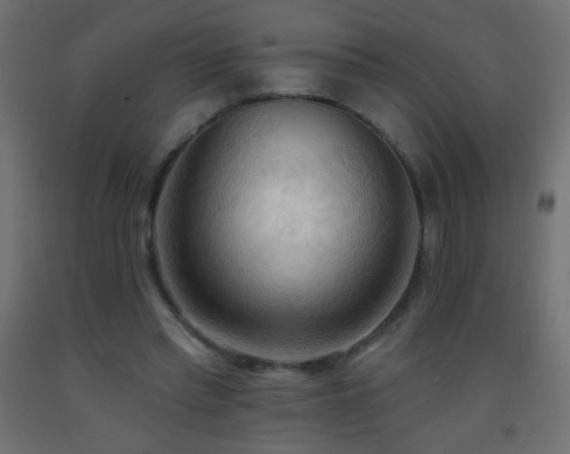 X0000093380397200710111500