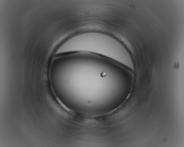 X0000093380399200710111500