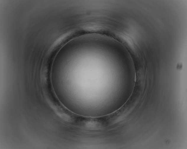 X0000093380400200710111500