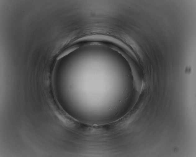 X0000093380401200710111500