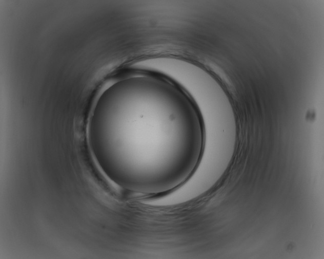 X0000093380403200710111500