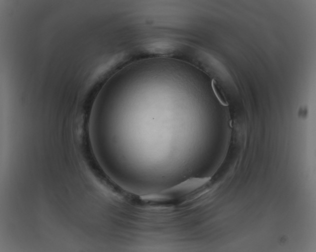 X0000093380404200710111500