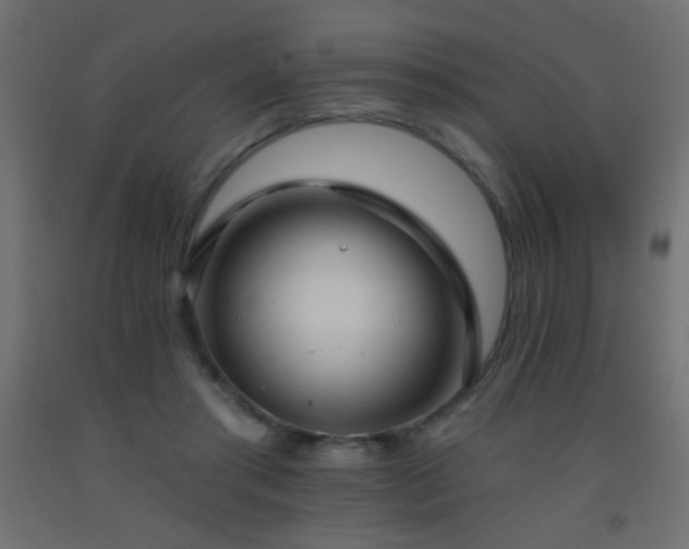 X0000093380405200710111500