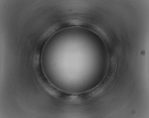 X0000093380406200710111500