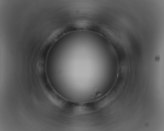 X0000093380408200710111500