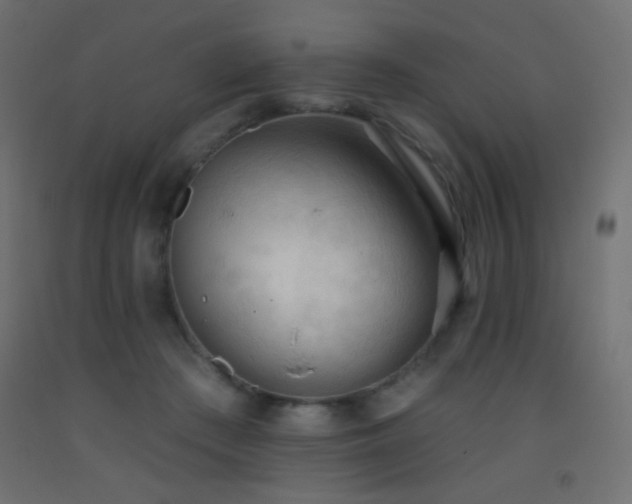 X0000093380409200710111500