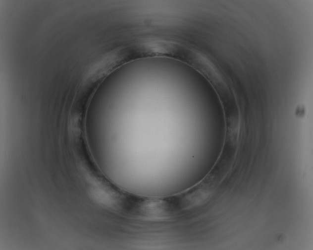 X0000093380410200710111459