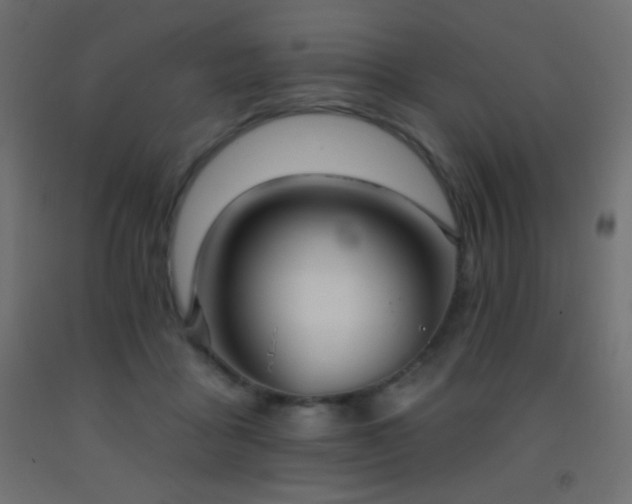 X0000093380411200710111459