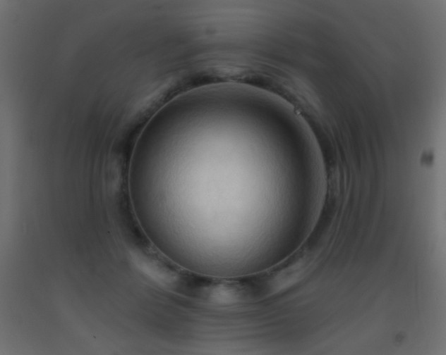 X0000093380412200710111459