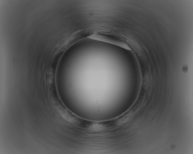 X0000093380413200710111459