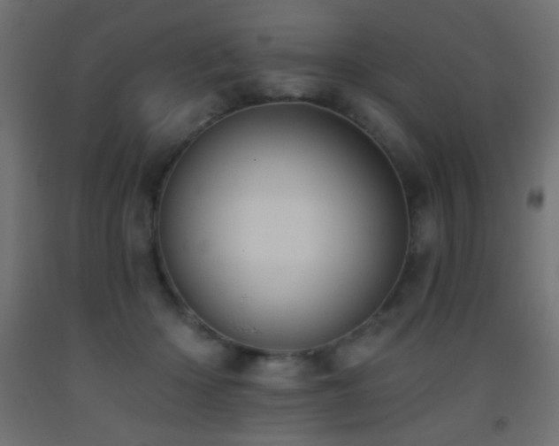 X0000093380414200710111459