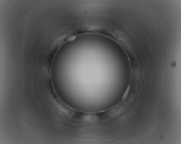 X0000093380415200710111459
