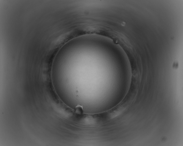 X0000093380416200710111459
