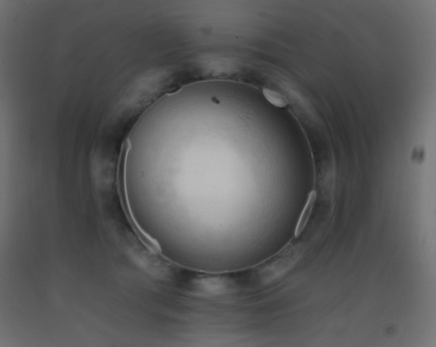 X0000093380417200710111459