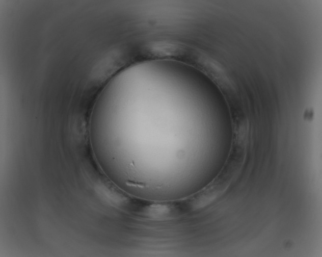 X0000093380418200710111459