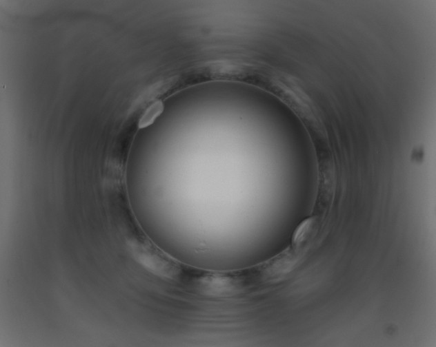 X0000093380419200710111459