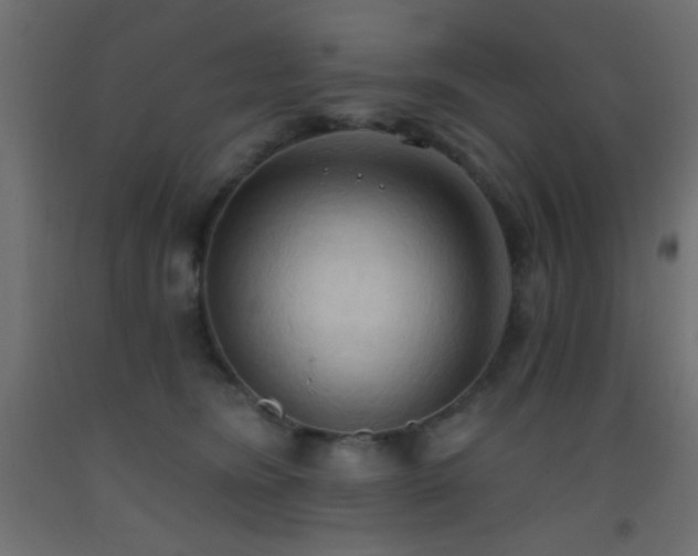X0000093380420200710111459
