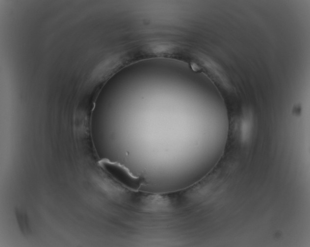 X0000093380421200710111459