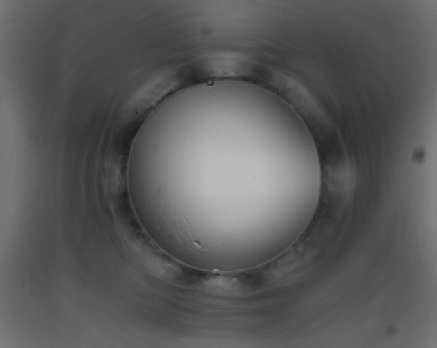 X0000093380422200710111459