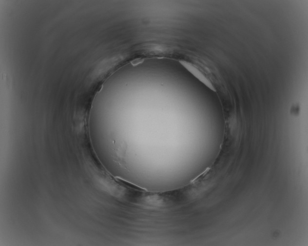 X0000093380423200710111459