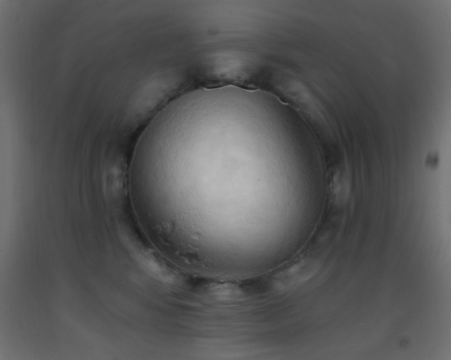 X0000093380424200710111459