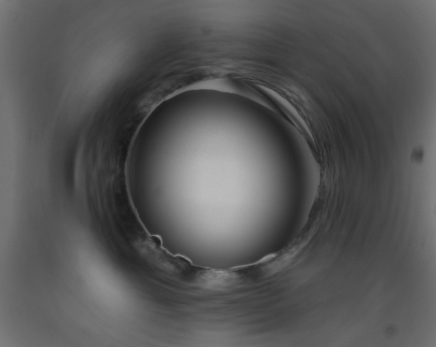 X0000093380429200710111459