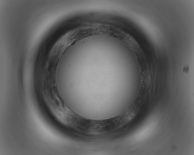 X0000093380431200710111459