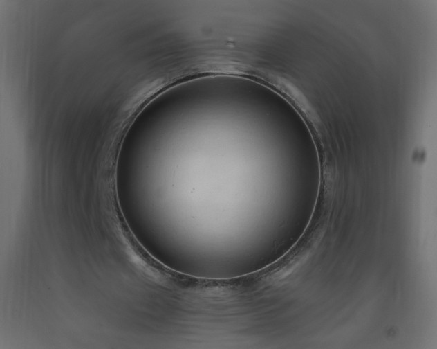 X0000093380433200710111459