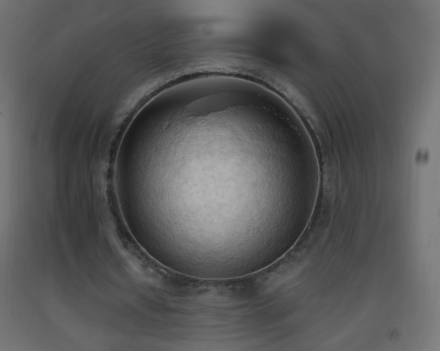X0000093380434200710111459