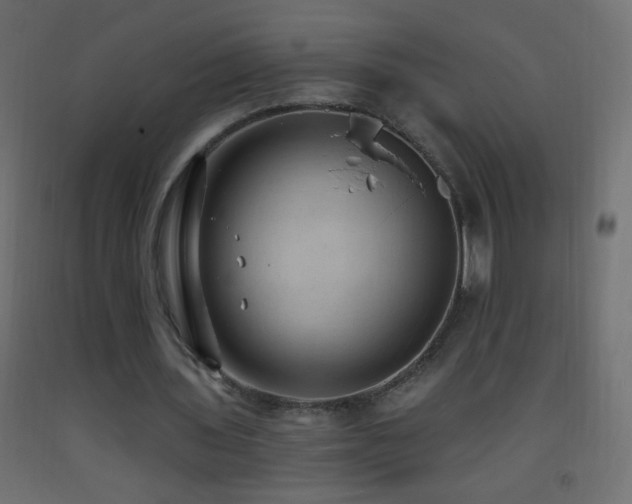 X0000093380435200710111459