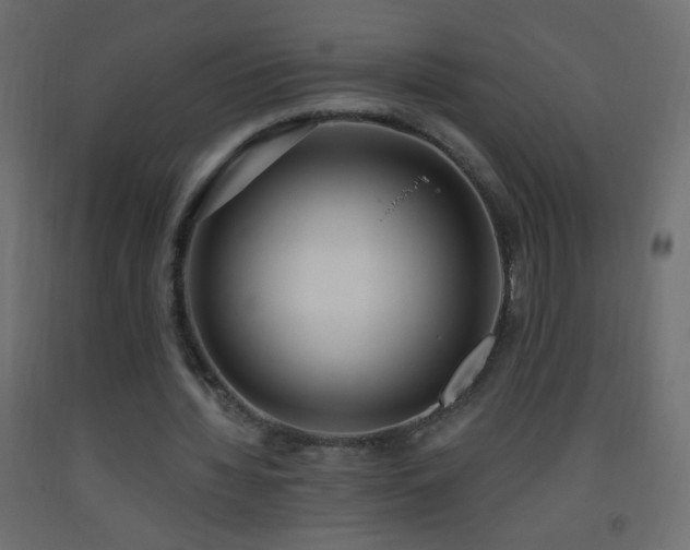 X0000093380436200710111459