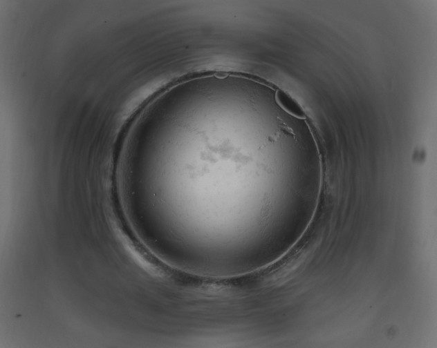 X0000093380437200710111459