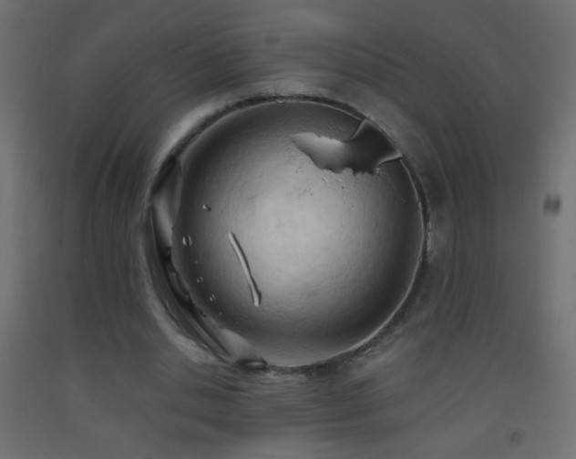 X0000093380438200710111459