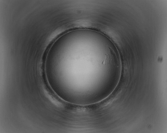 X0000093380439200710111459