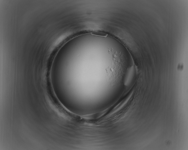 X0000093380440200710111459