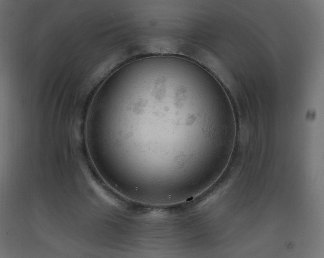 X0000093380441200710111459