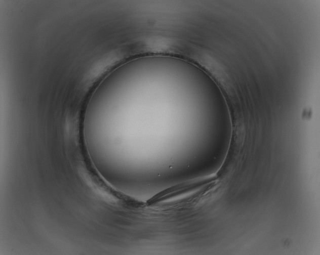 X0000093380442200710111459