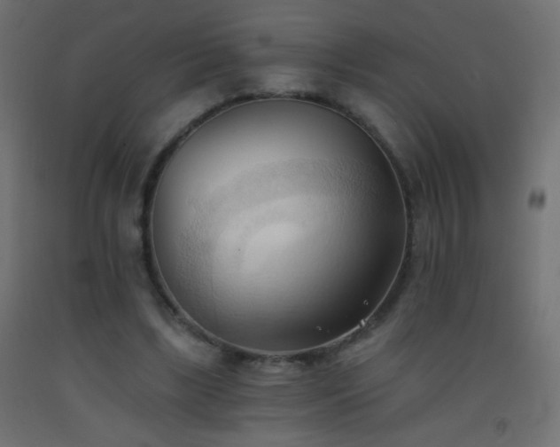 X0000093380443200710111459