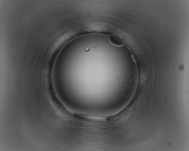 X0000093380444200710111459