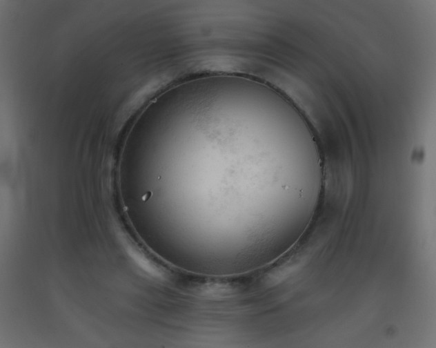 X0000093380445200710111459