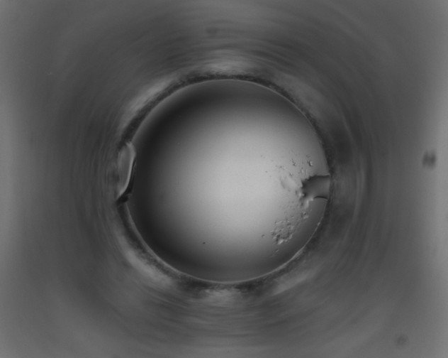 X0000093380446200710111459