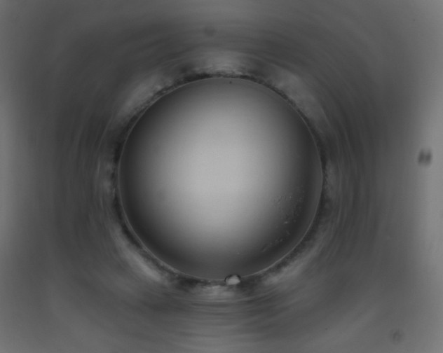 X0000093380449200710111459