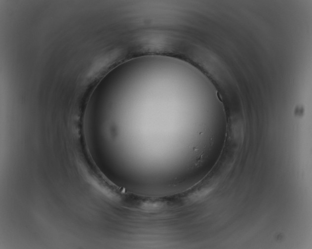 X0000093380450200710111459