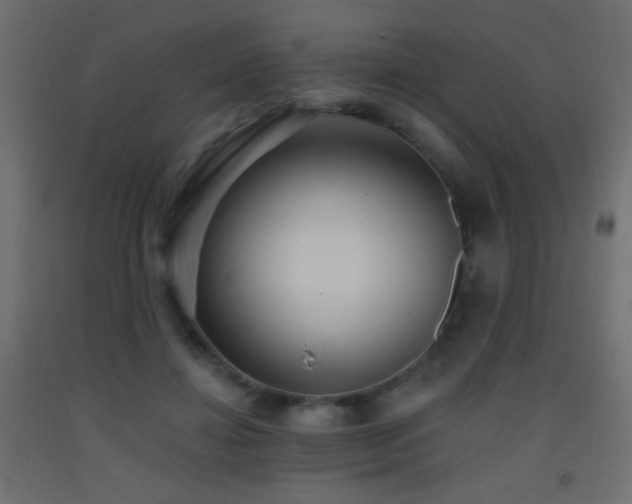X0000093380452200710111459