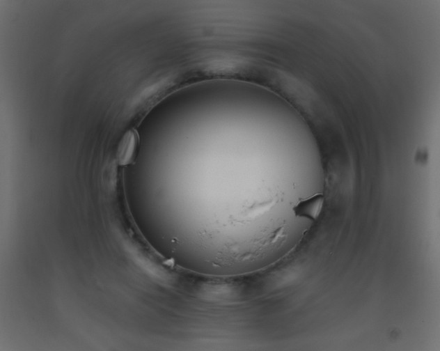 X0000093380454200710111459