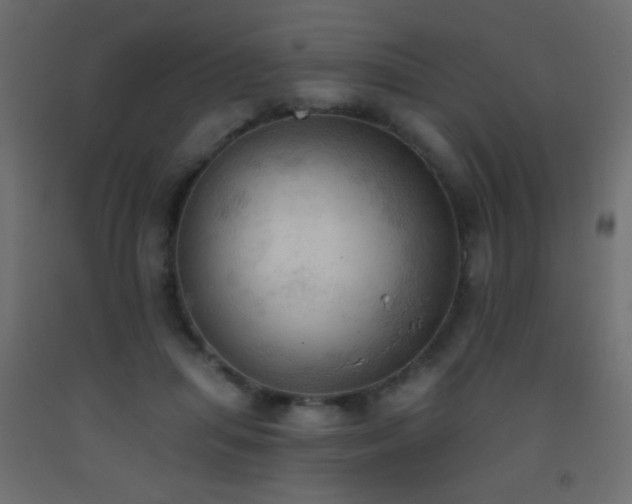 X0000093380455200710111459