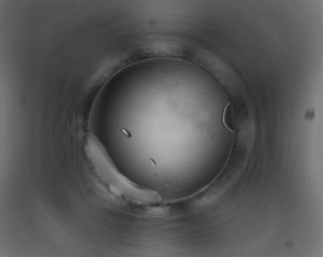 X0000093380457200710111459