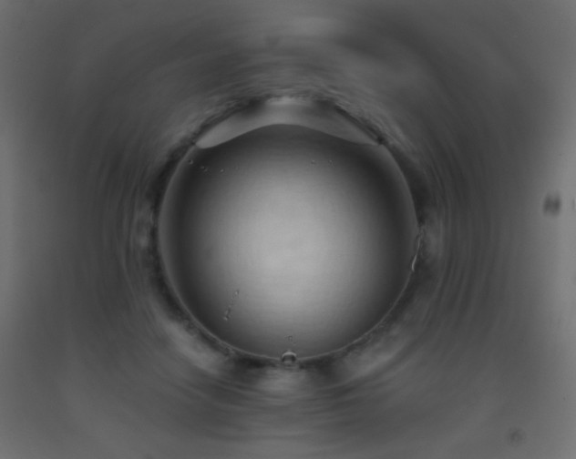 X0000093380458200710111459